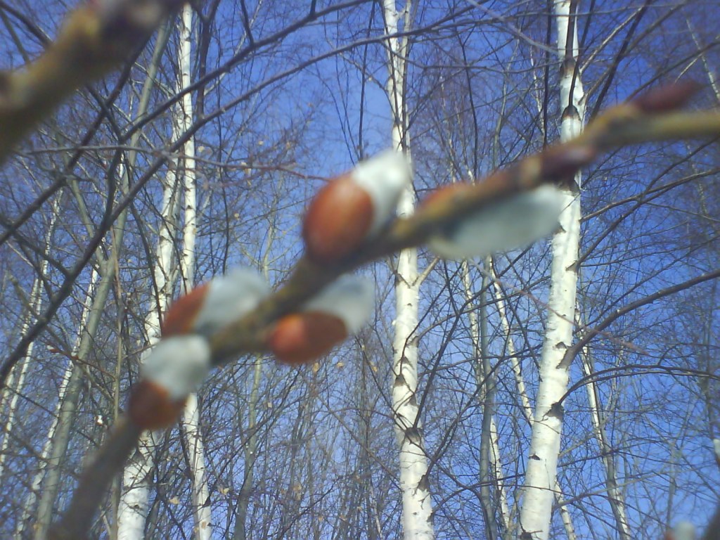 JARNÉ MED i&nbsp;UM