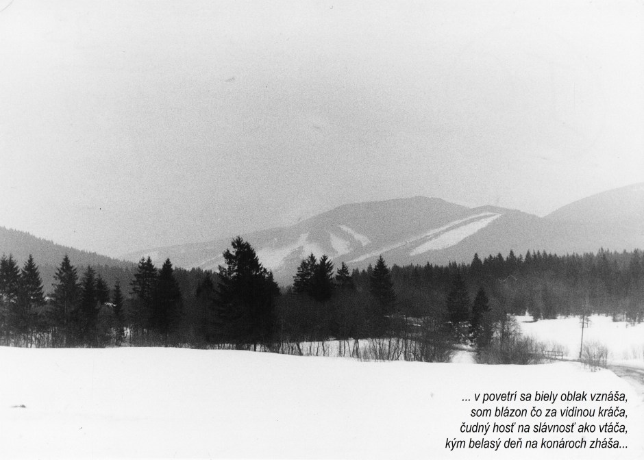 Pod snehom spi jar_druha